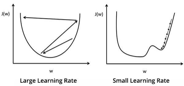 Learning Rate Gradient Descent